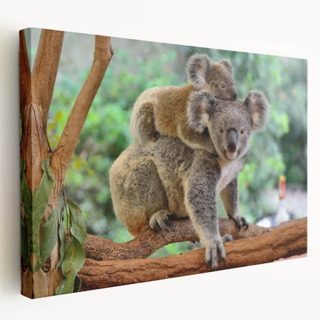 Side view of a stretched canvas wall art featuring a vibrant koala design, showcasing intricate details and natural colors, perfect for animal lovers’ home decor.