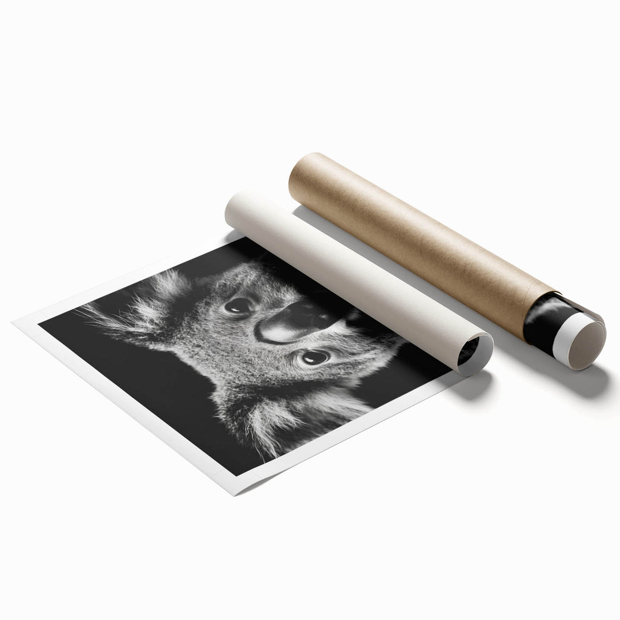 Koala-themed wall art design featuring a vibrant illustration of a koala surrounded by eucalyptus leaves, perfect for nature-inspired decor. This rolled print adds a playful touch to any room, showcasing wildlife artistry.