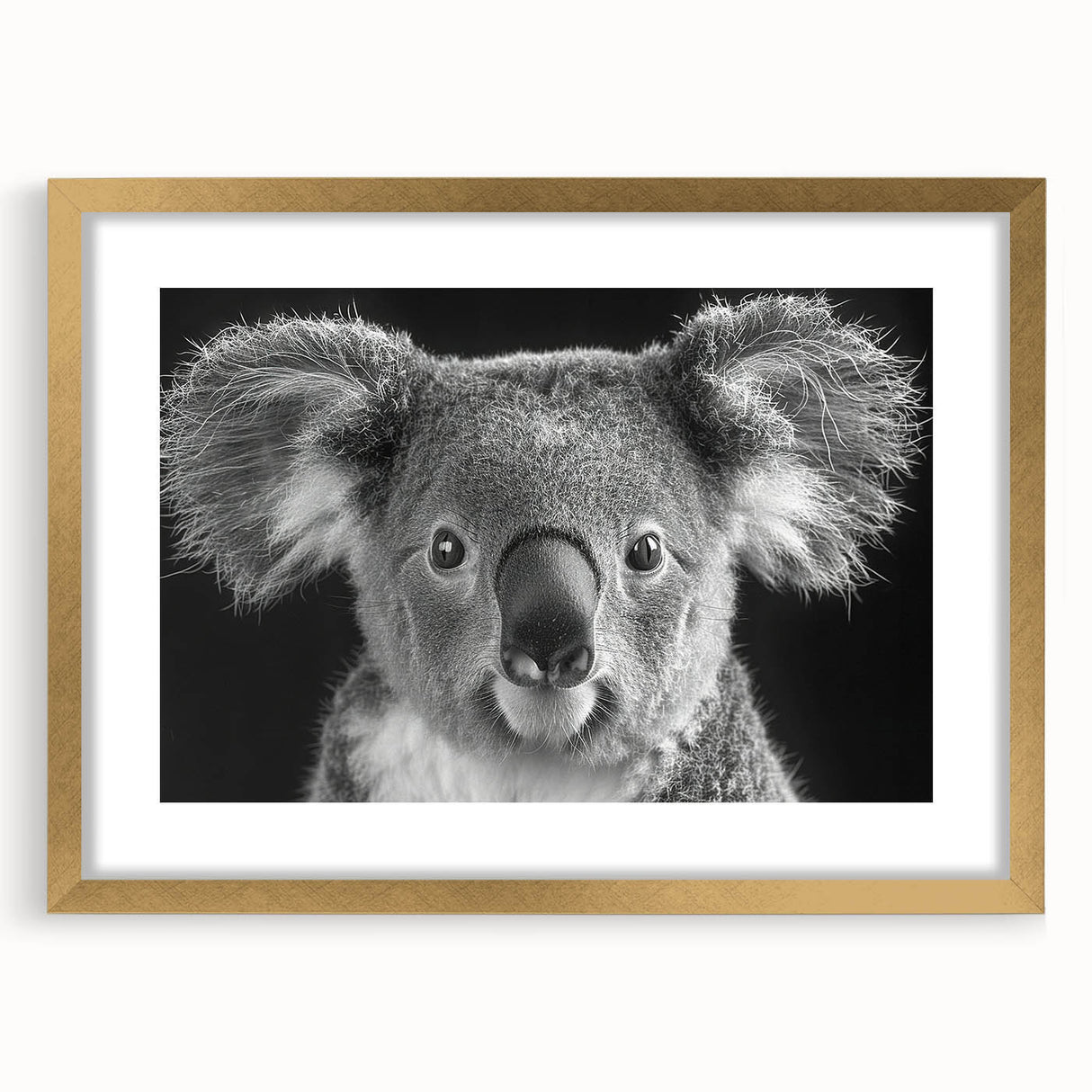 Koala wall art design in a gold frame with matting, showcasing a vibrant depiction of a koala in its natural habitat, ideal for wildlife enthusiasts and home decor.