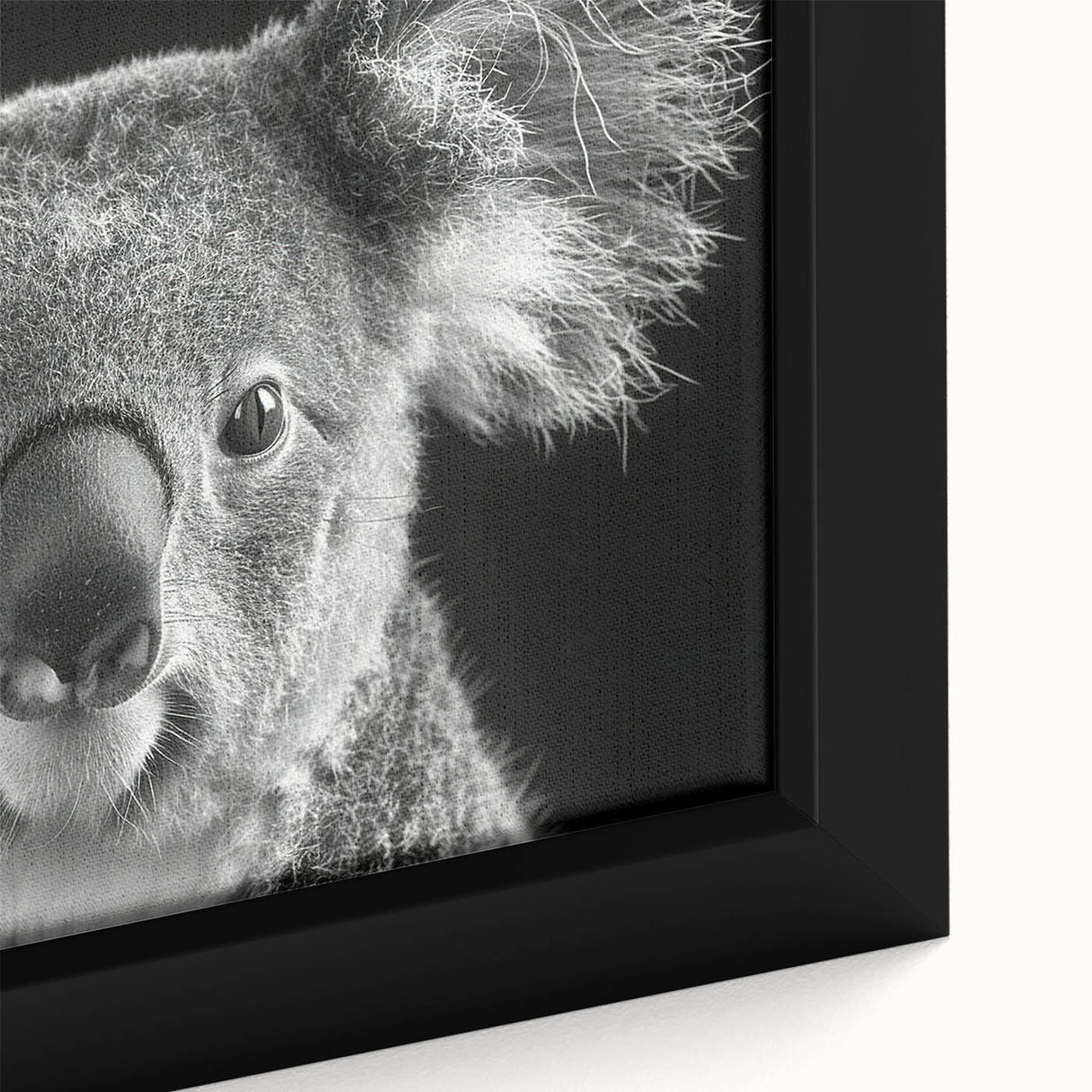 Close-up of a framed canvas wall art featuring a realistic koala design, showcasing intricate details and vibrant colors, perfect for wildlife enthusiasts and home decor.