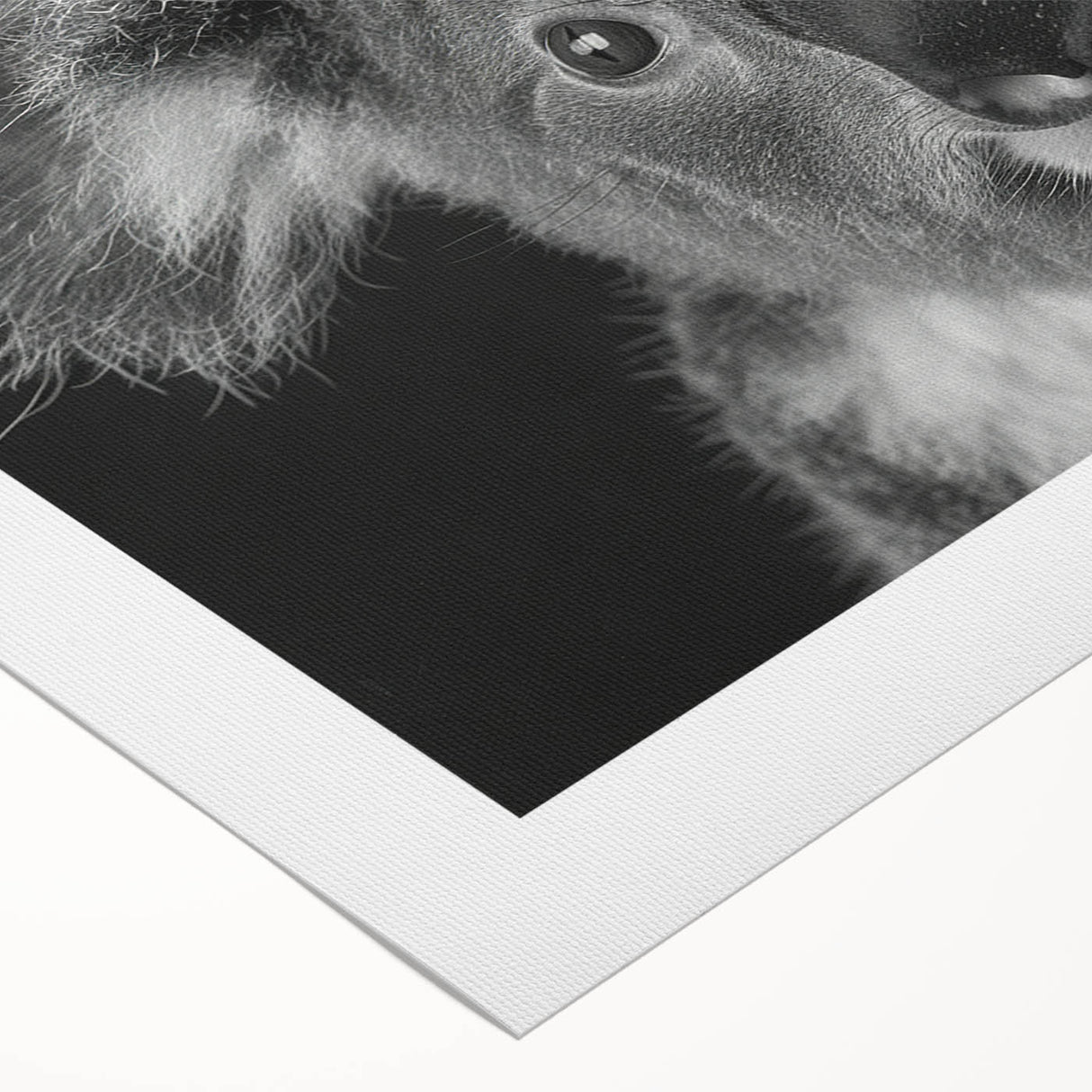 Koala-themed rolled canvas wall art featuring vibrant colors and a playful design, perfect for animal lovers and nature enthusiasts, ideal for home decor.