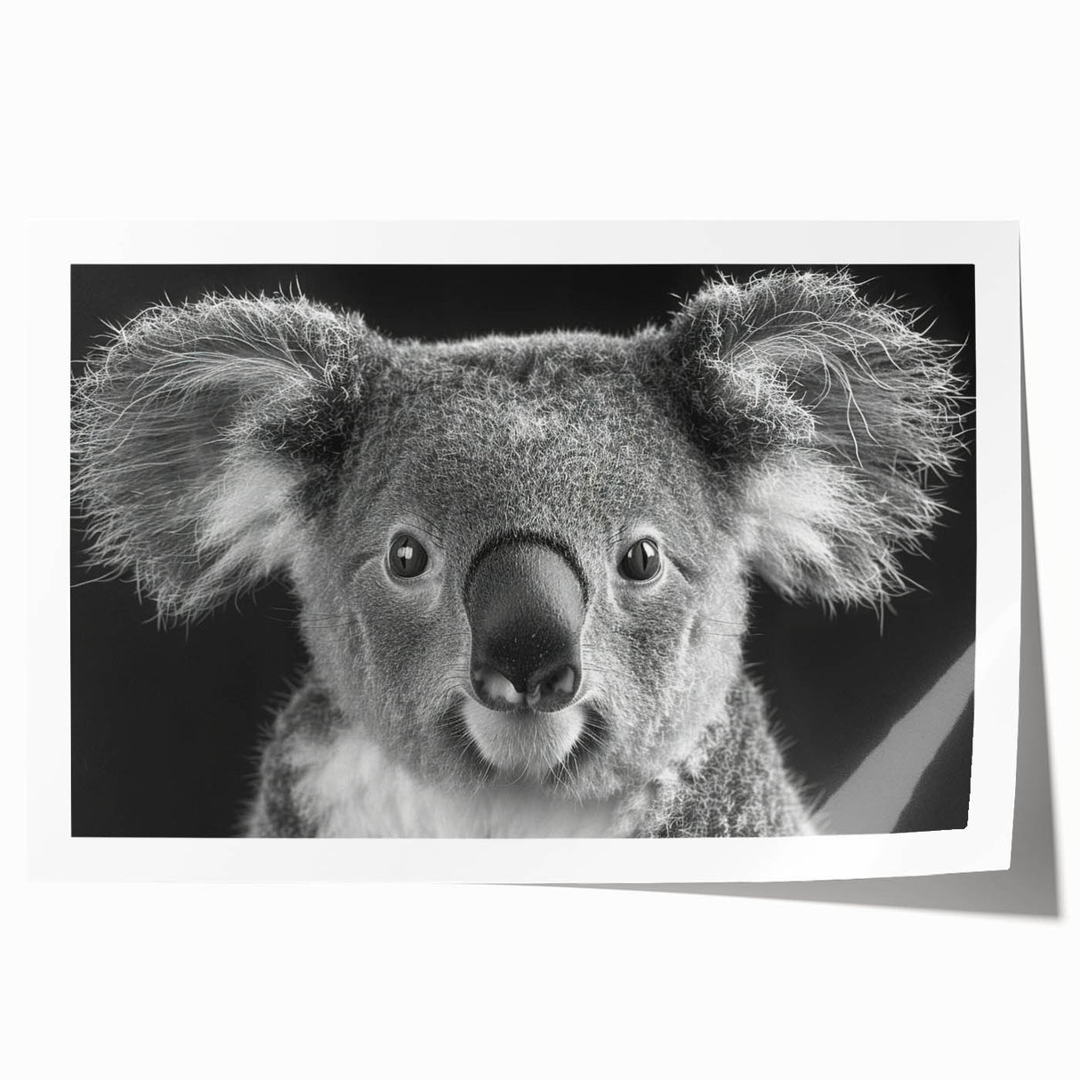 Koala wall art print showcasing a vibrant, stylized depiction of a koala in its natural habitat, perfect for wildlife enthusiasts and home decor.