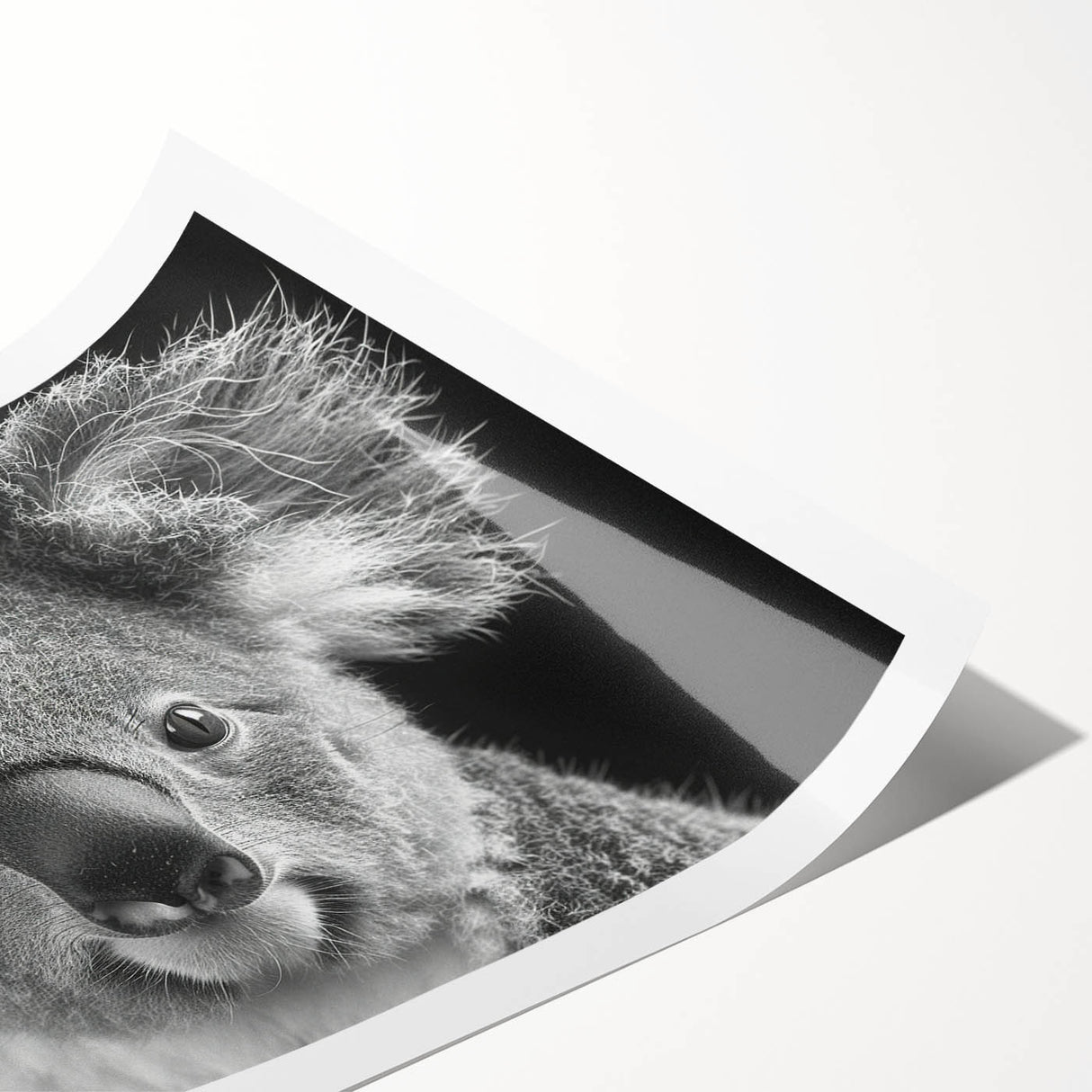 Koala wall art print showcasing a vibrant, illustrated design featuring a cute koala sitting on a eucalyptus tree branch, perfect for animal lovers and nature-themed decor.
