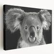Stretched canvas wall art showcasing a charming koala design in a lush eucalyptus setting, perfect for animal lovers and nature-themed decor. Ideal for brightening any room with its vibrant colors and playful theme.