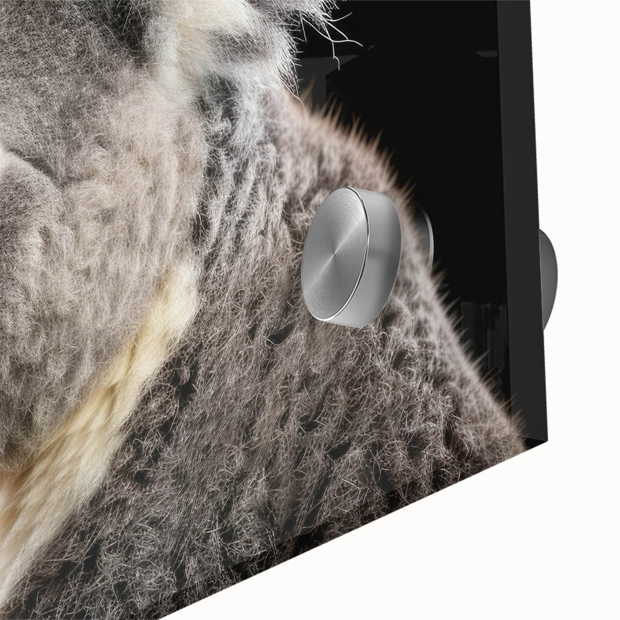 Close-up of a vibrant koala wall art design on acrylic glass, showcasing detailed textures and colors, perfect for wildlife-themed home decor and nature enthusiasts.