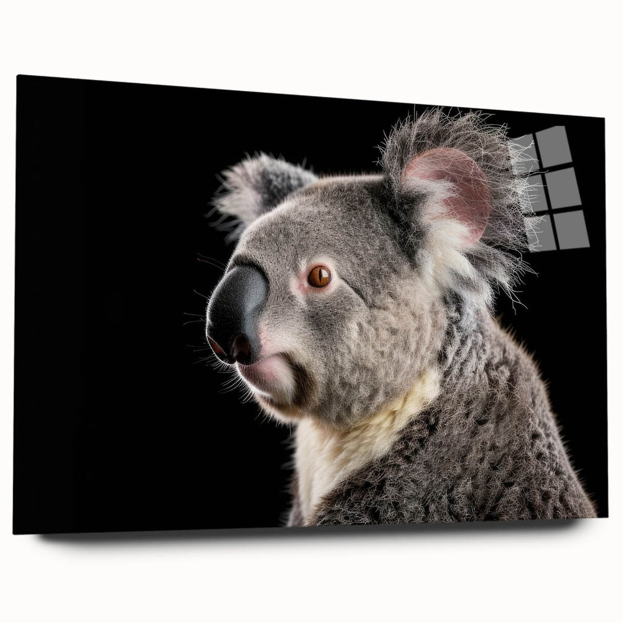 Acrylic glass wall art featuring a vibrant koala design in a wild-life theme, showcasing intricate details and bright colors, perfect for animal lovers' decor.