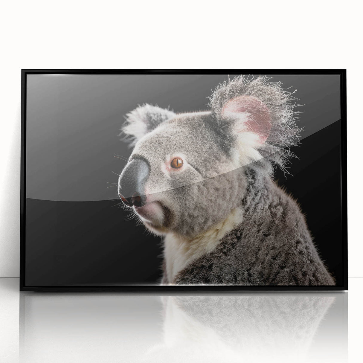 Framed acrylic wall art showcasing a detailed koala design from the Animals A Wild Life collection, set against a sleek black background, perfect for nature lovers.