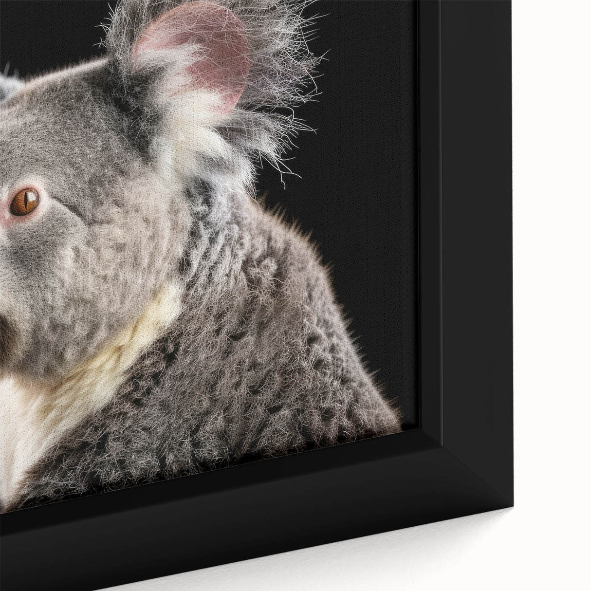 Close-up of a framed canvas wall art featuring a koala design, showcasing intricate details and vibrant colors, perfect for animal lovers and nature-themed decor.
