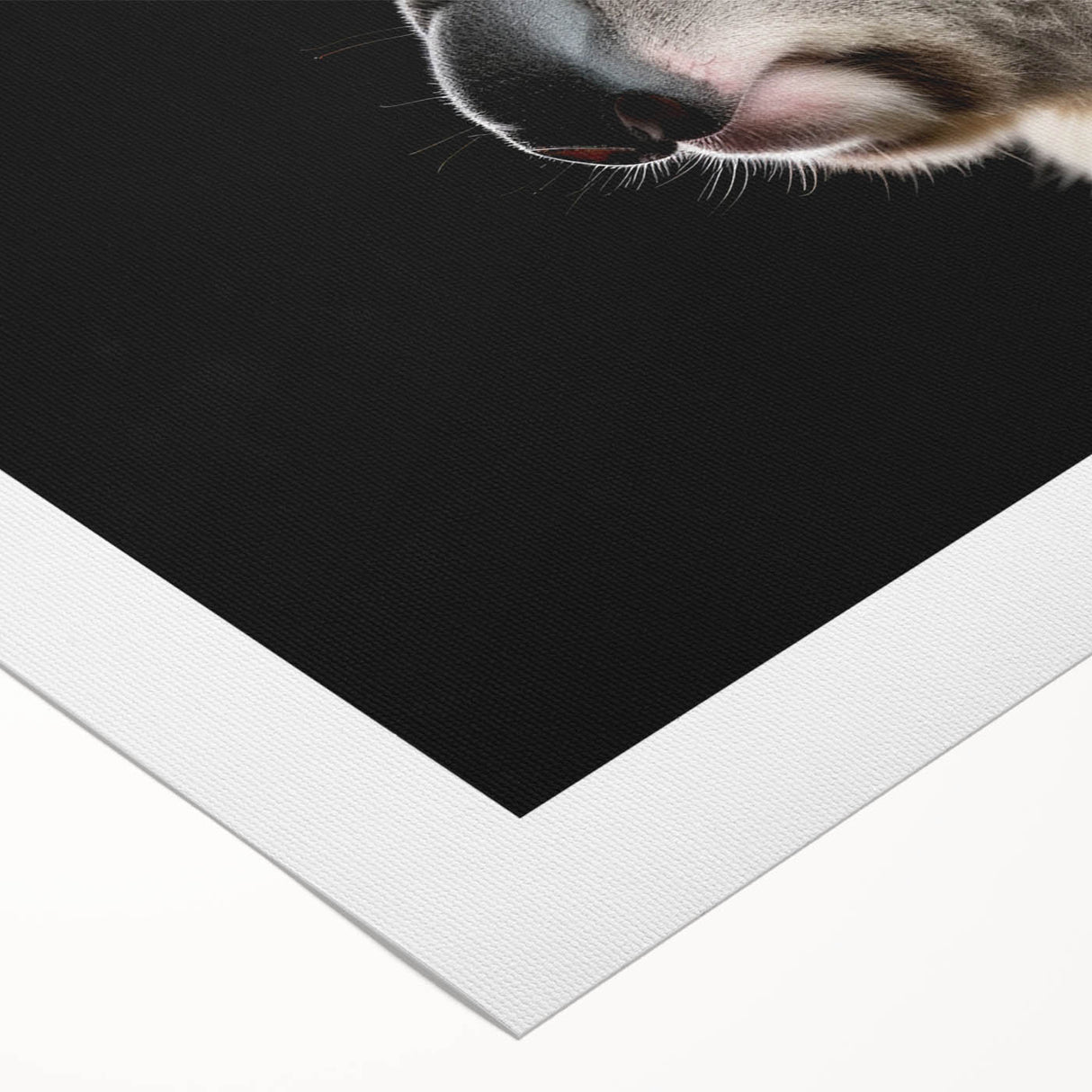 Koala wall art design printed on rolled canvas, showcasing vibrant colors and intricate details of the Australian wildlife, perfect for enhancing nature-themed decor.