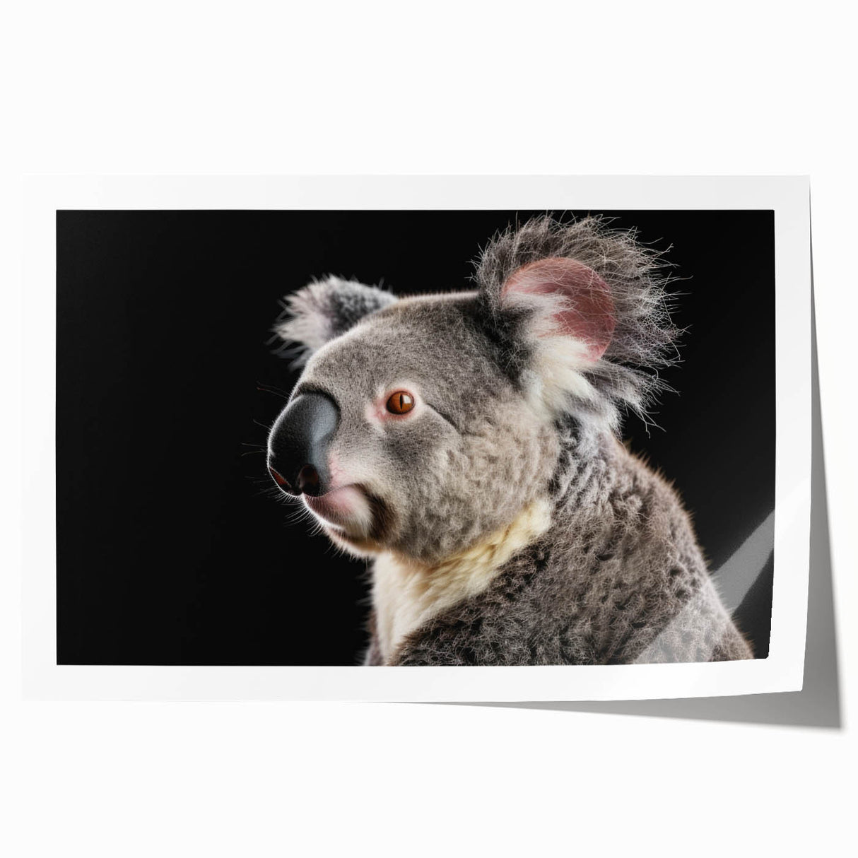 Koala wall art print showcasing a vibrant, illustrated design of a cute koala perched on a eucalyptus tree, ideal for wildlife enthusiasts and home decor.
