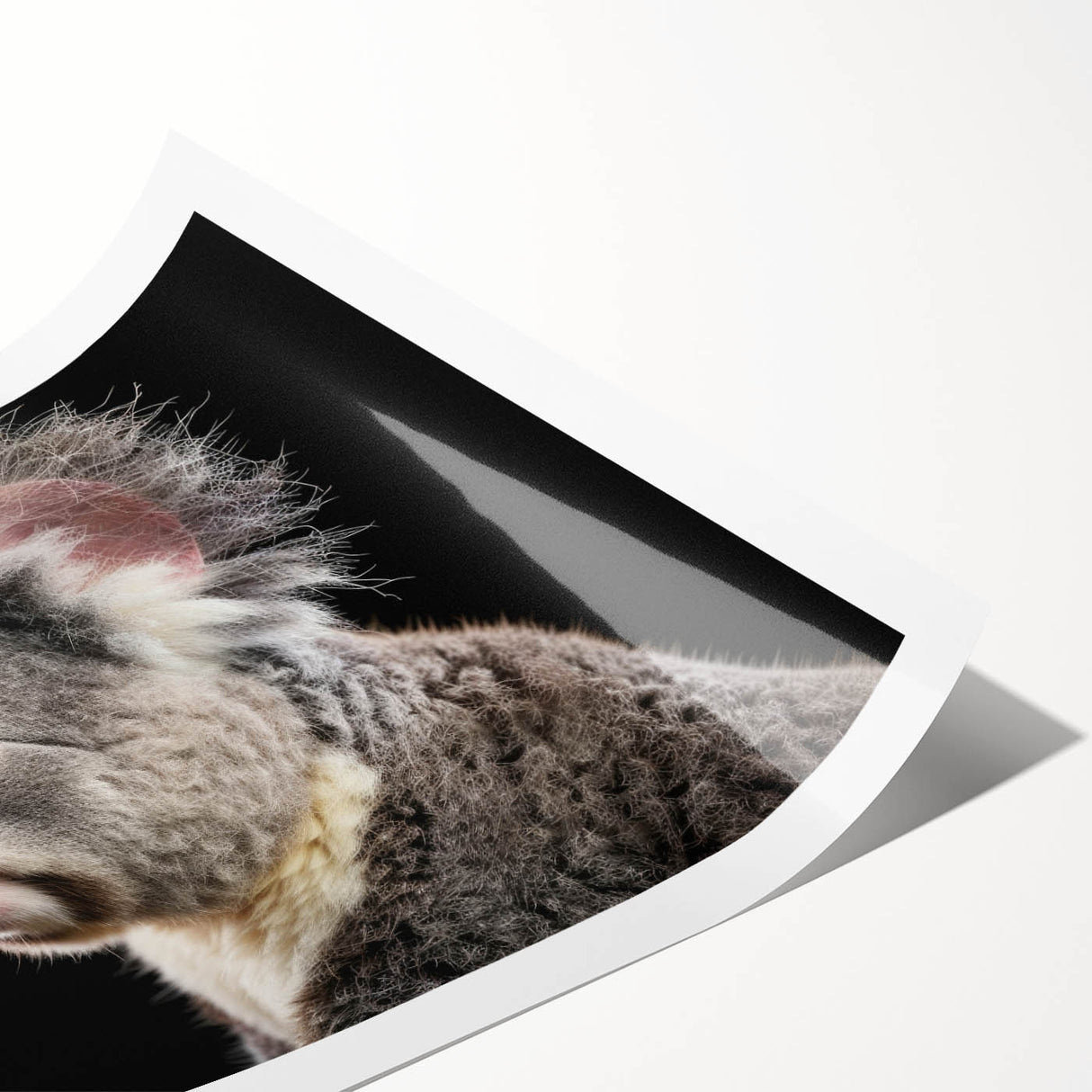 Koala wall art design showcasing a vibrant Australian wildlife scene, featuring rich colors and intricate details, perfect for nature enthusiasts and home decor.