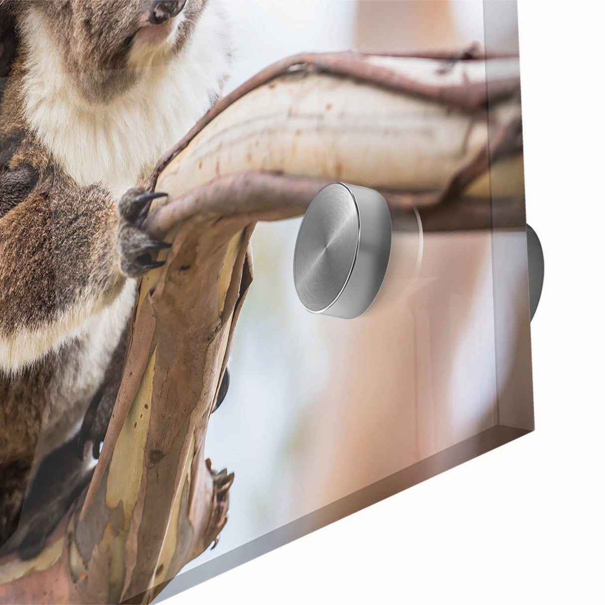 Close-up view of a vibrant acrylic wall art piece showcasing a detailed koala design, featuring rich colors and textures, perfect for wildlife decor enthusiasts. This artwork captures the essence of Australian wildlife, making it an ideal addition to any nature-themed interior.