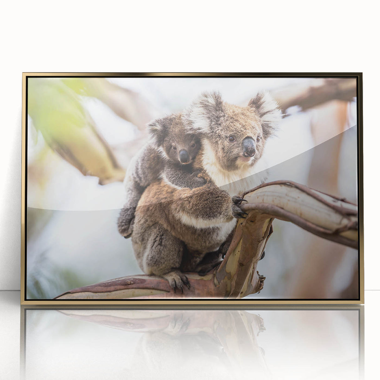 Framed wall art featuring a koala design with vibrant colors, set against a gold-acrylic background, perfect for wildlife-themed decor and nature lovers.