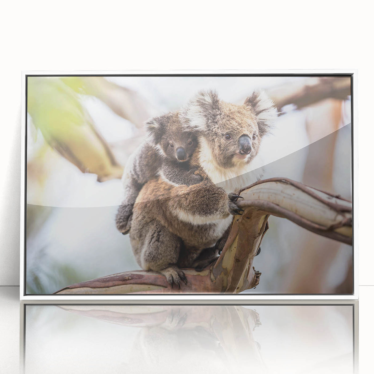 Framed wall art featuring a koala design, showcasing vibrant colors and intricate details, set against a white background, perfect for wildlife enthusiasts.