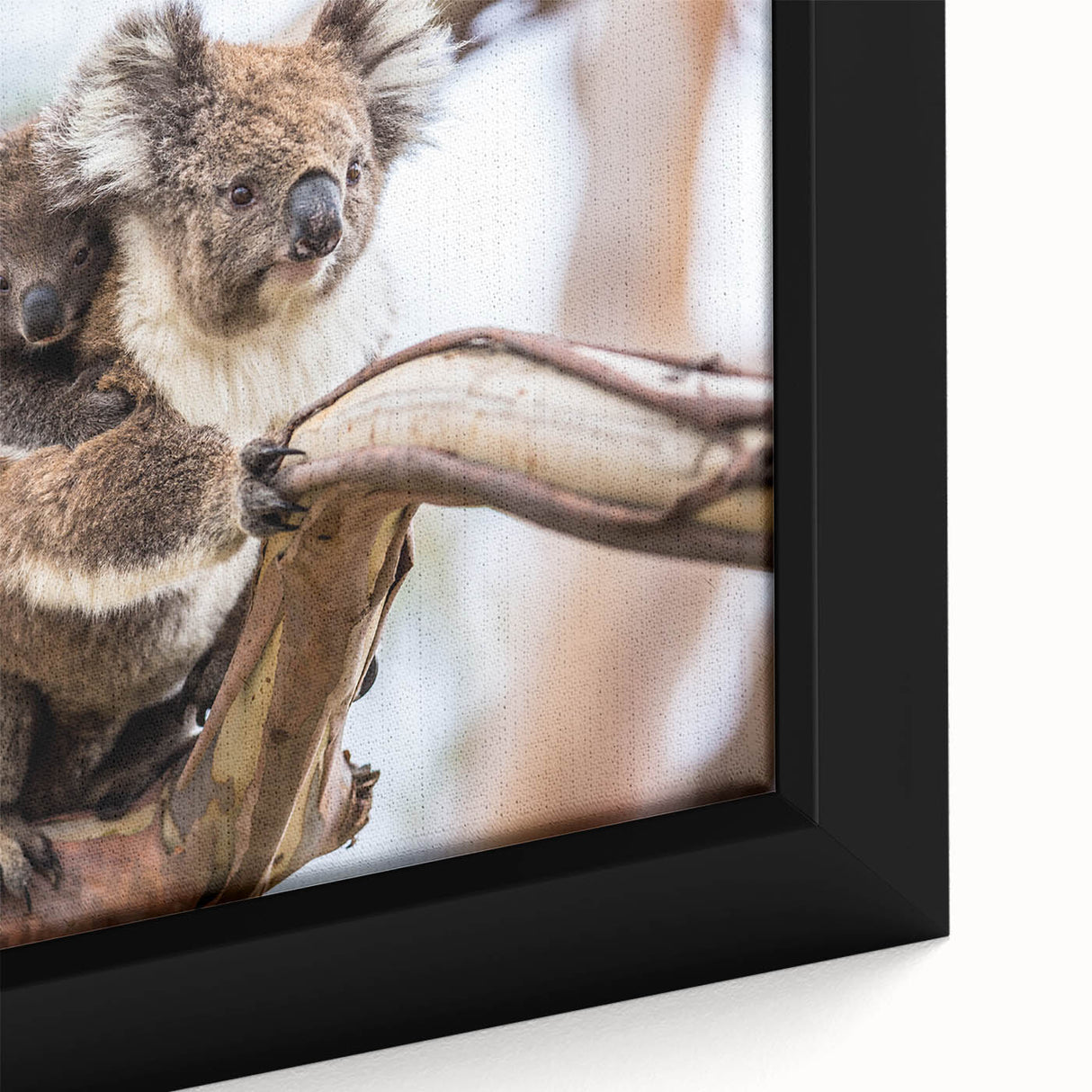 Close-up of a framed wall art piece showcasing a vibrant koala design, emphasizing detailed textures and colors on canvas, perfect for animal lovers and home decor enthusiasts.