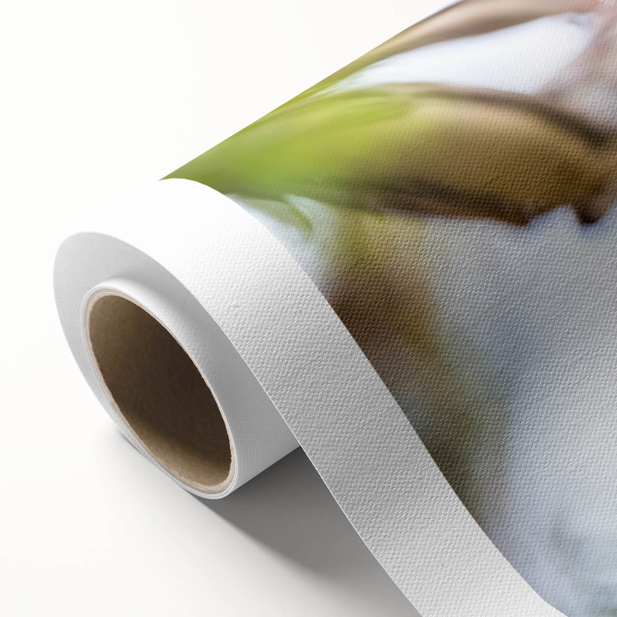 Koala wall art design on rolled canvas, showcasing a vibrant and detailed illustration of a koala in a natural setting, ideal for wildlife enthusiasts.