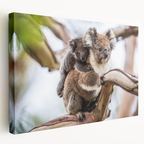 Stretched canvas wall art showcasing a side view of a koala in a natural setting, perfect for wildlife enthusiasts and modern home decor. Vibrant colors highlight the intricate design, adding a touch of nature to any room.