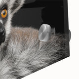 Close-up of a vibrant acrylic wall art piece showcasing a colorful lemur design, featuring intricate details and bold colors, perfect for animal lovers and home decor enthusiasts.