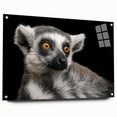 Acrylic glass wall art showcasing a vibrant lemur design from the 'Animals A Wild Life' collection, featuring intricate details and a sleek side view with mounting pins. Perfect for animal lovers and modern decor enthusiasts.