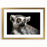 Lemur wall art collection featuring a vibrant gold frame with a mat, showcasing a playful lemur design against a minimalist background, perfect for animal lovers' decor.