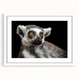 Lemur wall art design featuring a vibrant illustration of a lemur surrounded by lush greenery, framed in white with a mat, ideal for wildlife enthusiasts.