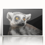 Framed wall art featuring a vibrant lemur design, showcasing playful colors and intricate details, perfect for animal lovers and home decor enthusiasts.