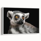 Framed canvas wall art featuring a vibrant lemur design on a white background, showcasing bold colors and intricate details, perfect for animal lovers and modern decor.