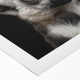Lemur-themed rolled canvas wall art featuring vibrant colors and intricate design elements, showcasing wildlife inspiration and artistic craftsmanship. Ideal for nature lovers and home decor enthusiasts.
