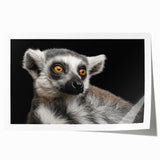 Lemur-themed wall art print showcasing vibrant colors and intricate details, rolled and packaged for easy display in home or office decor. Perfect for animal lovers.