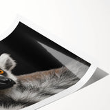 Vibrant rolled print of a playful lemur design, showcasing intricate details and rich colors, perfect for wildlife enthusiasts and home decor lovers.