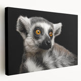 Stretched canvas wall art featuring a vibrant lemur design, showcasing intricate details and bold colors, perfect for animal lovers and nature-themed decor.