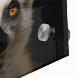 Close-up of a vibrant acrylic glass wall art featuring a colorful lemur design, showcasing intricate details and textures ideal for wildlife enthusiasts and modern decor. Perfect for adding a playful touch to any room while celebrating animal artistry.