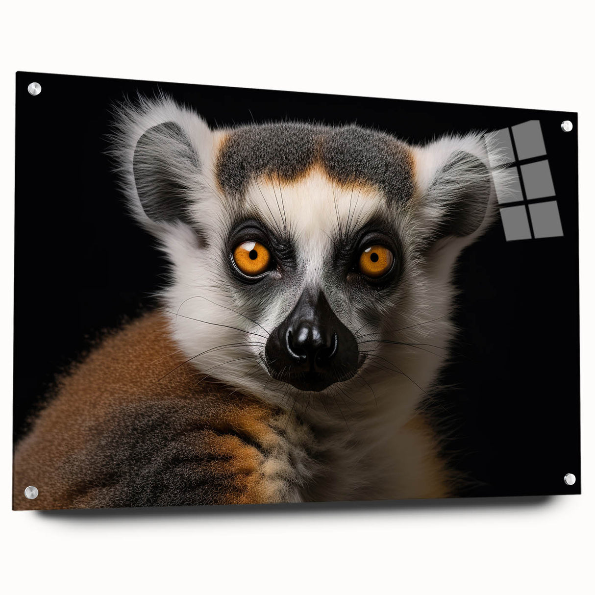 Side view of a vibrant acrylic glass wall art collection featuring a whimsical lemur design, elegantly displayed with decorative pins, perfect for animal lovers.