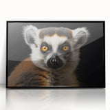 Framed wall art depicting a lemur in a vibrant, colorful design, featuring a sleek black frame and acrylic front for a modern touch, perfect for animal lovers.