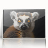 Framed acrylic wall art featuring a vibrant lemur design, showcasing rich colors and detailed textures, perfect for animal lovers and modern decor.