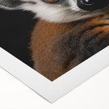 Vibrant rolled canvas featuring a whimsical lemur design, showcasing playful colors and intricate details, ideal for animal lovers and unique home decor.