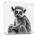 Lemur wall art design displayed in a sleek acrylic glass frame, showcasing vibrant colors and intricate details, ideal for animal lovers and home decoration.