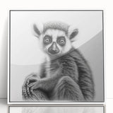 Framed acrylic wall art featuring a vibrant lemur design from the 'Animals A Wild Life' collection, set against a white background, perfect for animal lovers.