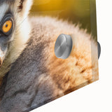 Close-up of a vibrant acrylic wall art design showcasing a lemur in a lush green environment, emphasizing its intricate details and colorful features. Ideal for animal lovers and nature-inspired decor.