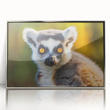 Framed wall art collection featuring a vibrant lemur design on acrylic, displaying a silver frame and a modern aesthetic, perfect for animal lovers and home decor.