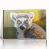Framed acrylic wall art featuring a vibrant lemur design from the Animals A Wild Life collection, set against a sleek white background, perfect for animal lovers and modern decor.