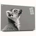 Acrylic wall art featuring a vibrant lemur design from the "Animals - A Wild Life" collection, displayed from the side with visible mounting pins, perfect for animal lovers.