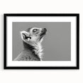 Framed wall art featuring a vibrant lemur design from the "Animals A Wild Life" collection, presented in a sleek black frame with a mat for an elegant display. Perfect for animal lovers and home decor enthusiasts looking to add a playful touch to their space.