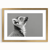 Framed wall art featuring a vibrant lemur design, showcasing intricate details and a gold mat. Ideal for animal lovers, this decorative piece adds a touch of wildlife charm to any room.