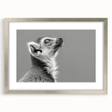 Framed wall art featuring a vibrant lemur design, showcasing intricate details and colorful patterns, set in a sleek silver frame with a white mat, ideal for wildlife enthusiasts.