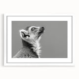 Lemur-themed wall art collection featuring a vibrant design, framed with a white mat, showcasing an artistic depiction of a lemur in a natural setting. Perfect for animal lovers and home decor enthusiasts looking to add a touch of wildlife charm to their space.