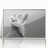 Framed acrylic wall art featuring a vibrant lemur design, set against a white background, showcasing detailed textures and colors, ideal for animal lovers' decor.