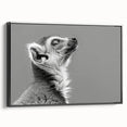 Framed canvas wall art featuring a vibrant lemur design, showcasing a black frame and side view, perfect for animal lovers and home decor enthusiasts.