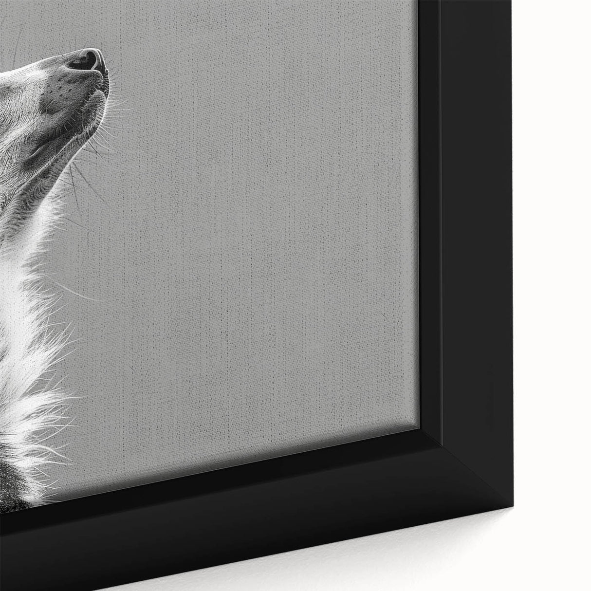 Close-up of a framed canvas wall art featuring a vibrant lemur design with intricate details and bold colors, perfect for animal lovers and wildlife decor enthusiasts.