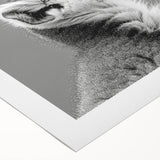 Lemur design wall art on rolled canvas, showcasing vibrant colors and intricate details, perfect for animal lovers and home decor enthusiasts.